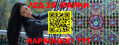 индика Кизляр