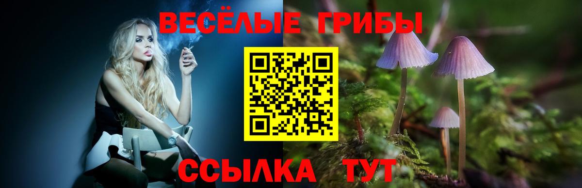 Россошь  Галлюциногенные грибы MAGIC MUSHROOMS  Галлюциногенные грибы мицелий  Вход с VPN 